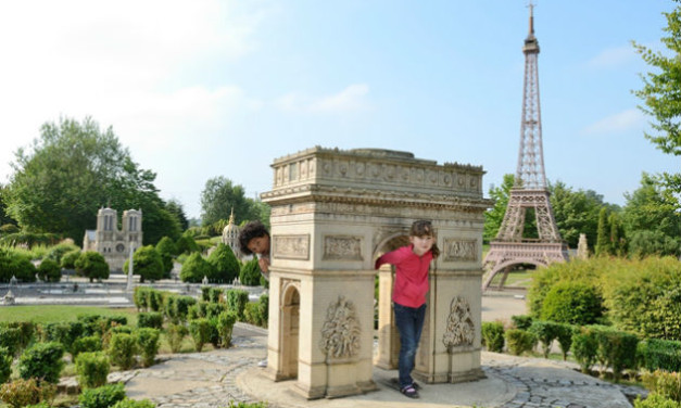 FRANCE  MINIATURE