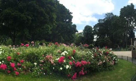 Parc Monceau